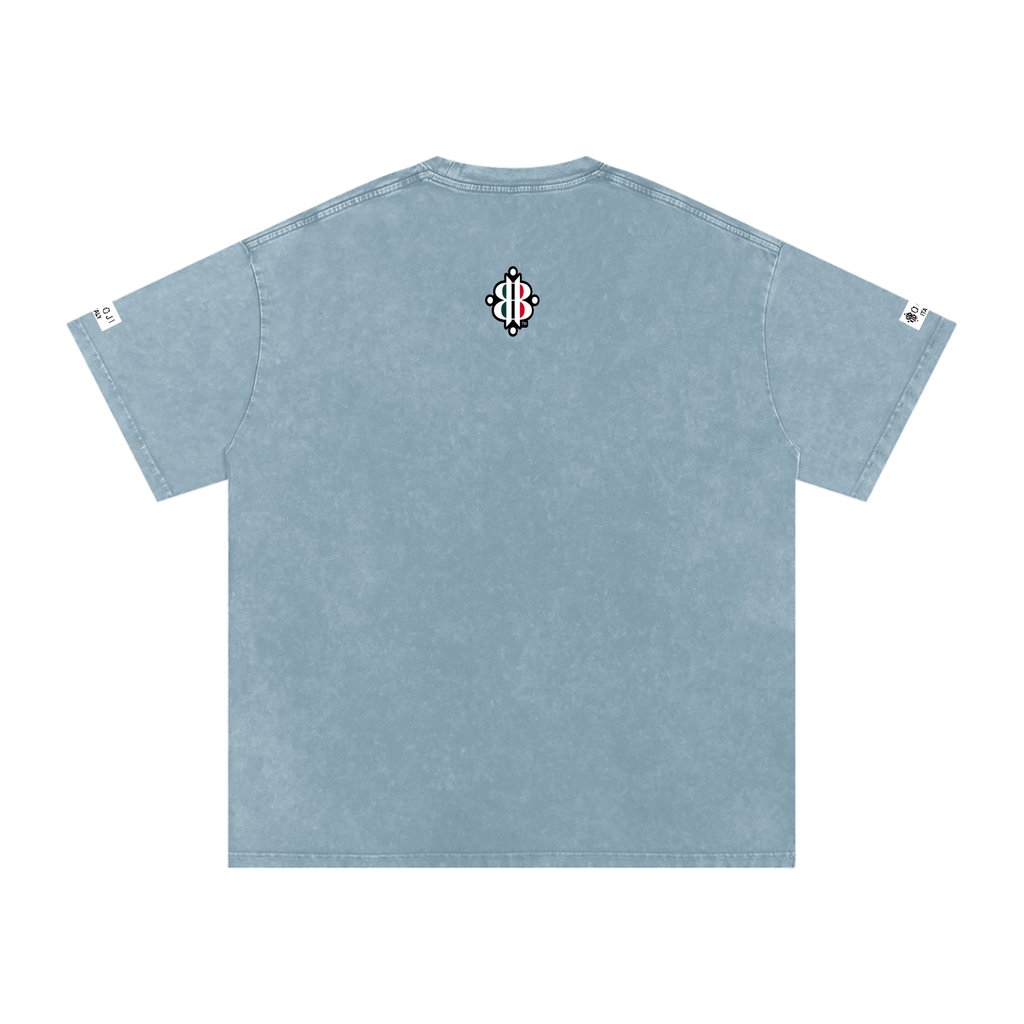 BOOJI ITALY ITALIAN FLAG BRAND LOGO SNOW WASHED T-SHIRT