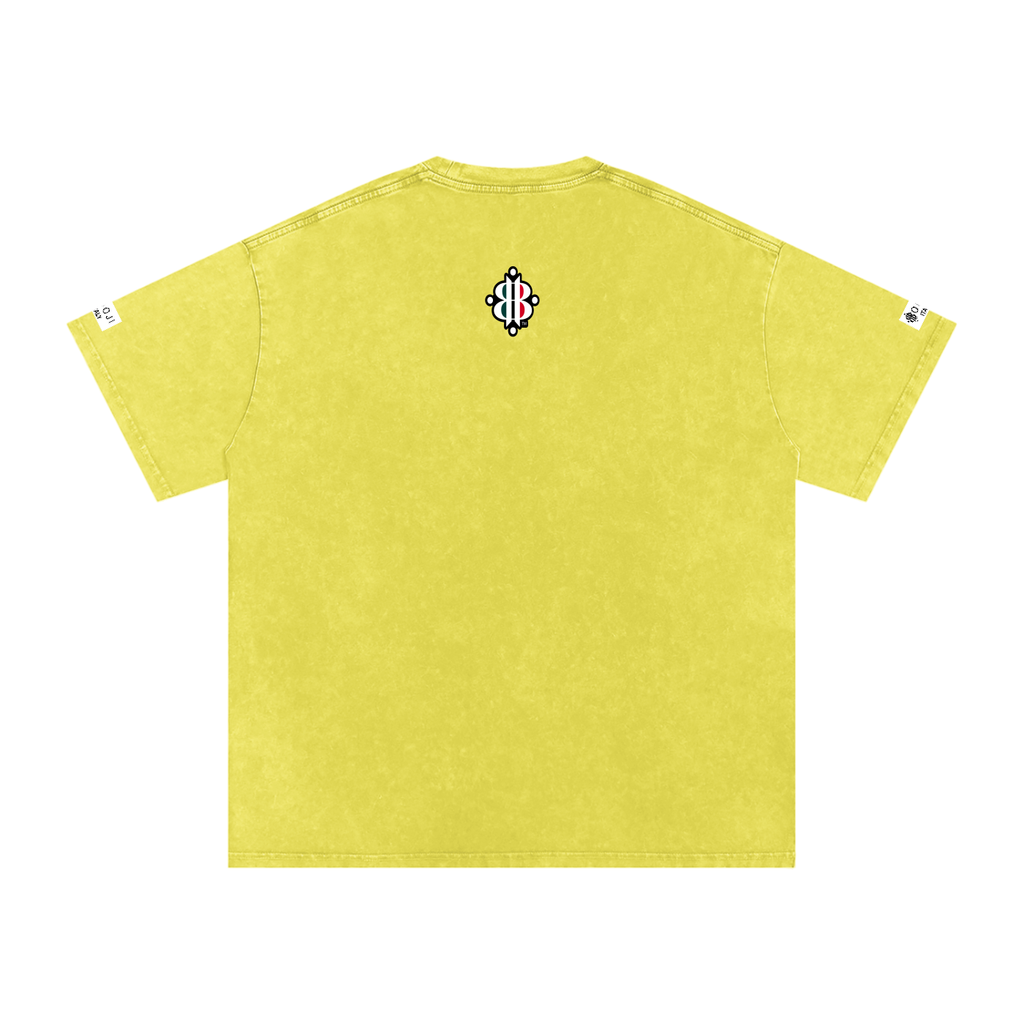 BOOJI ITALY ITALIAN FLAG BRAND LOGO SNOW WASHED T-SHIRT