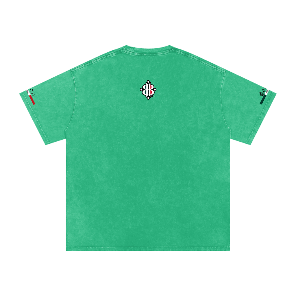 BOOJI ITALY ITALIAN FLAG 4 EVER $ LOGO SNOW WASHED T-SHIRT