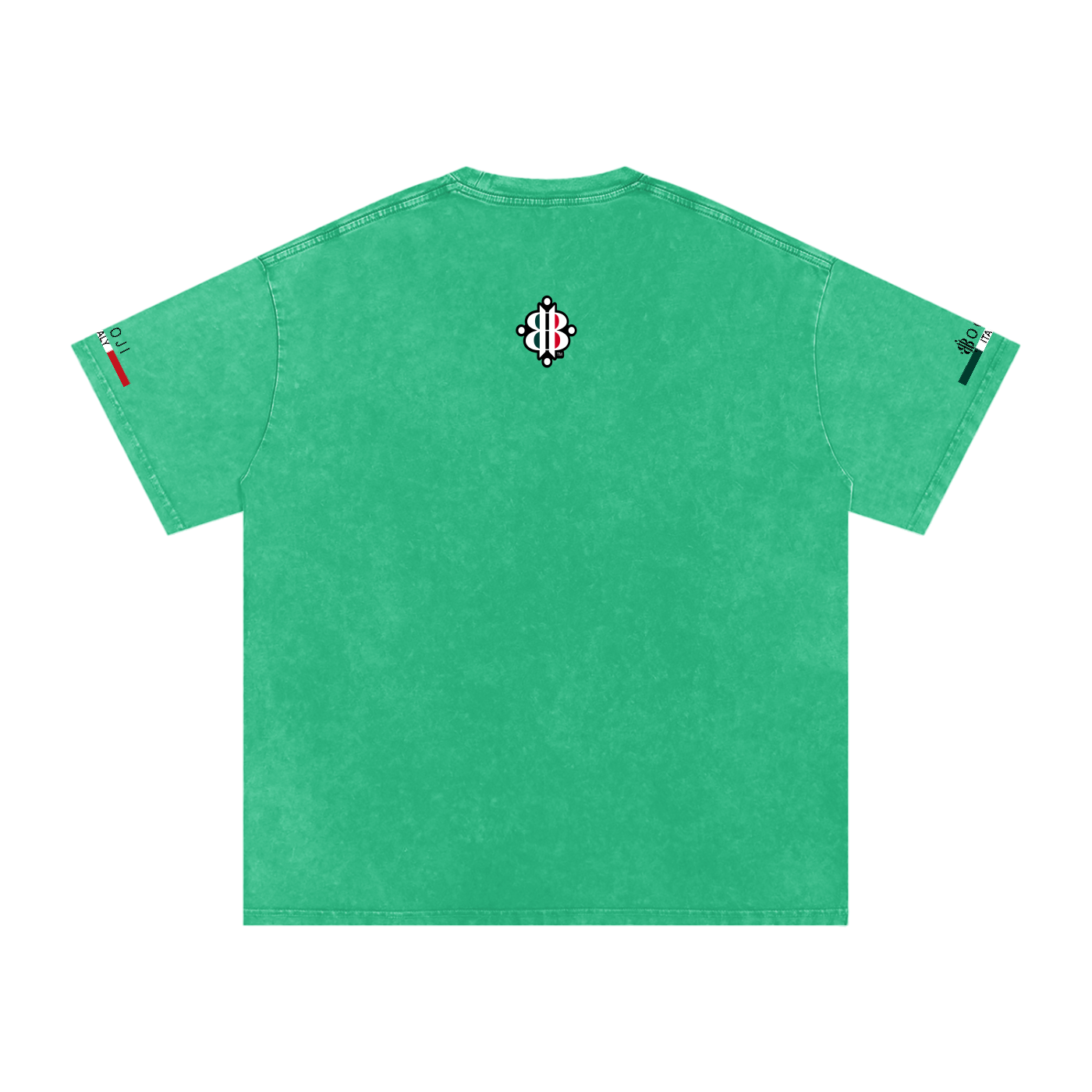 BOOJI ITALY ITALIAN FLAG 4 EVER $ LOGO SNOW WASHED T-SHIRT