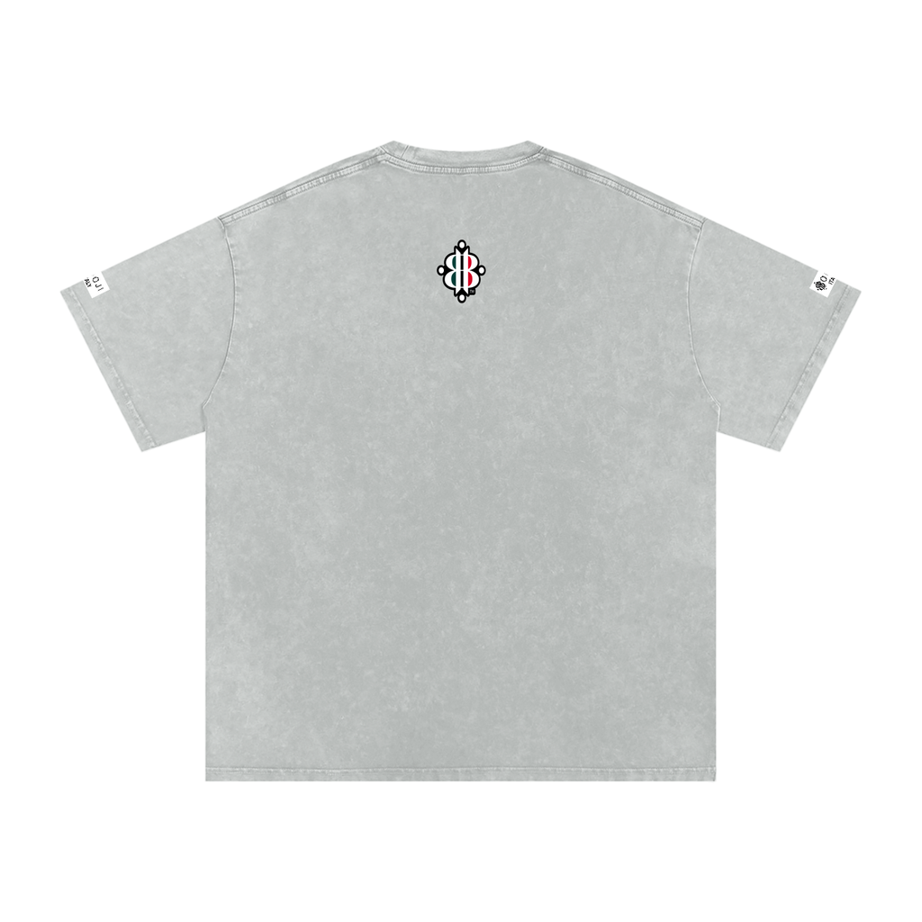 BOOJI ITALY ITALIAN FLAG BRAND LOGO SNOW WASHED T-SHIRT
