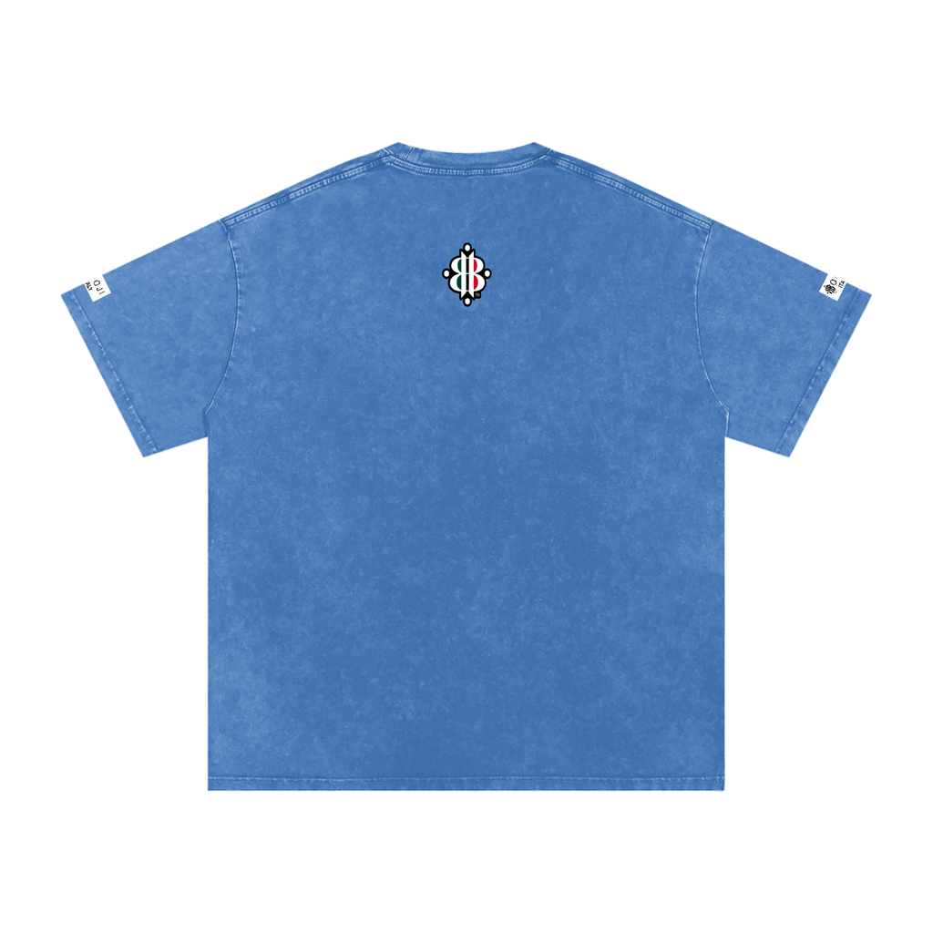 BOOJI ITALY ITALIAN FLAG BRAND LOGO SNOW WASHED T-SHIRT