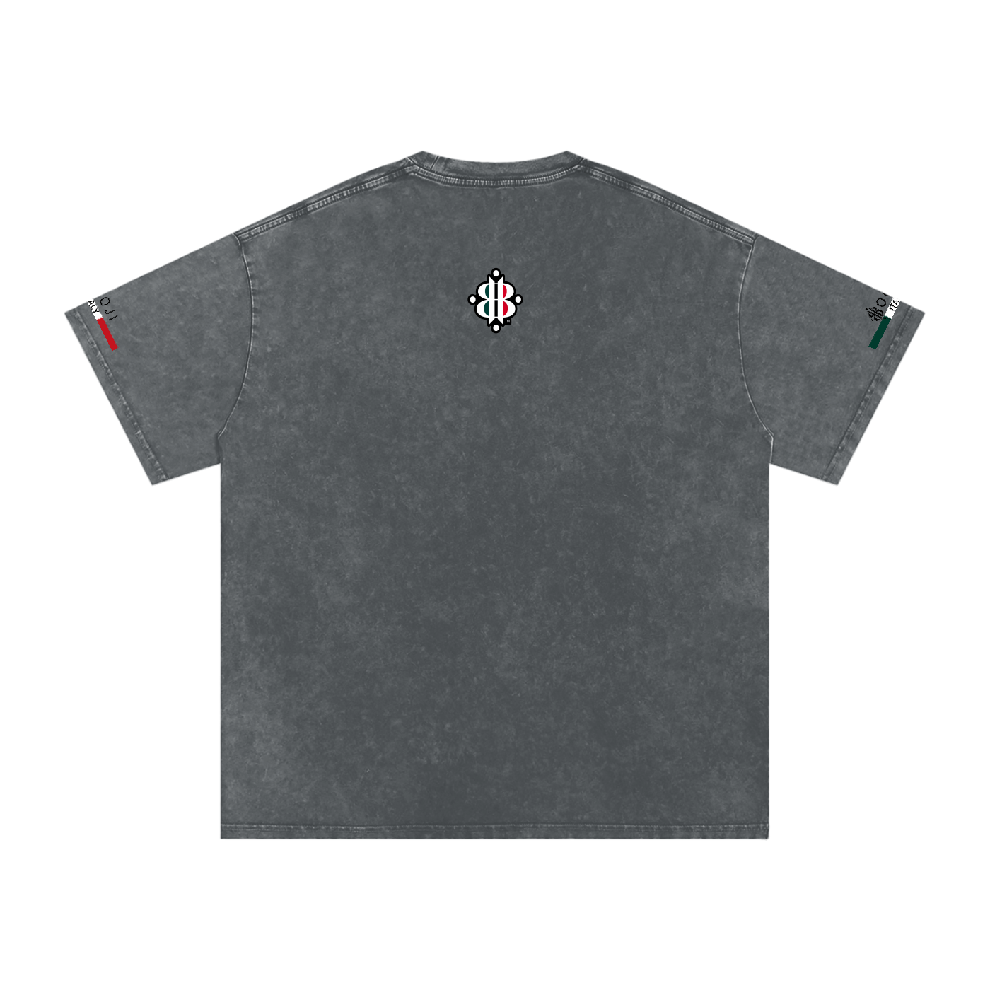 BOOJI ITALY ITALIAN FLAG 4 EVER $ LOGO SNOW WASHED T-SHIRT