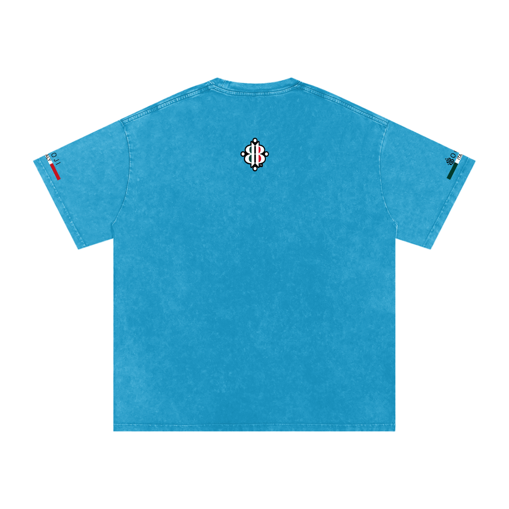 BOOJI ITALY ITALIAN FLAG 4 EVER $ LOGO SNOW WASHED T-SHIRT