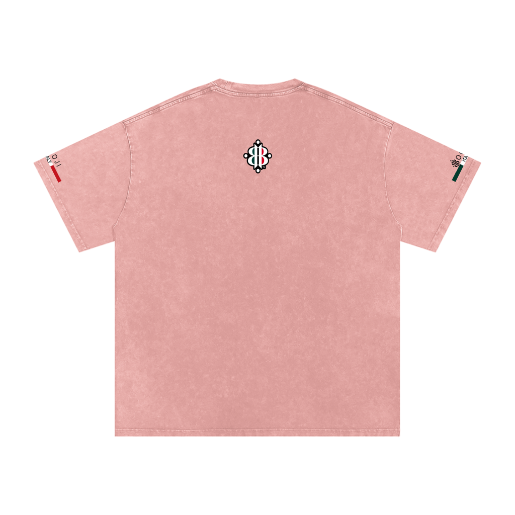 BOOJI ITALY ITALIAN FLAG 4 EVER $ LOGO SNOW WASHED T-SHIRT