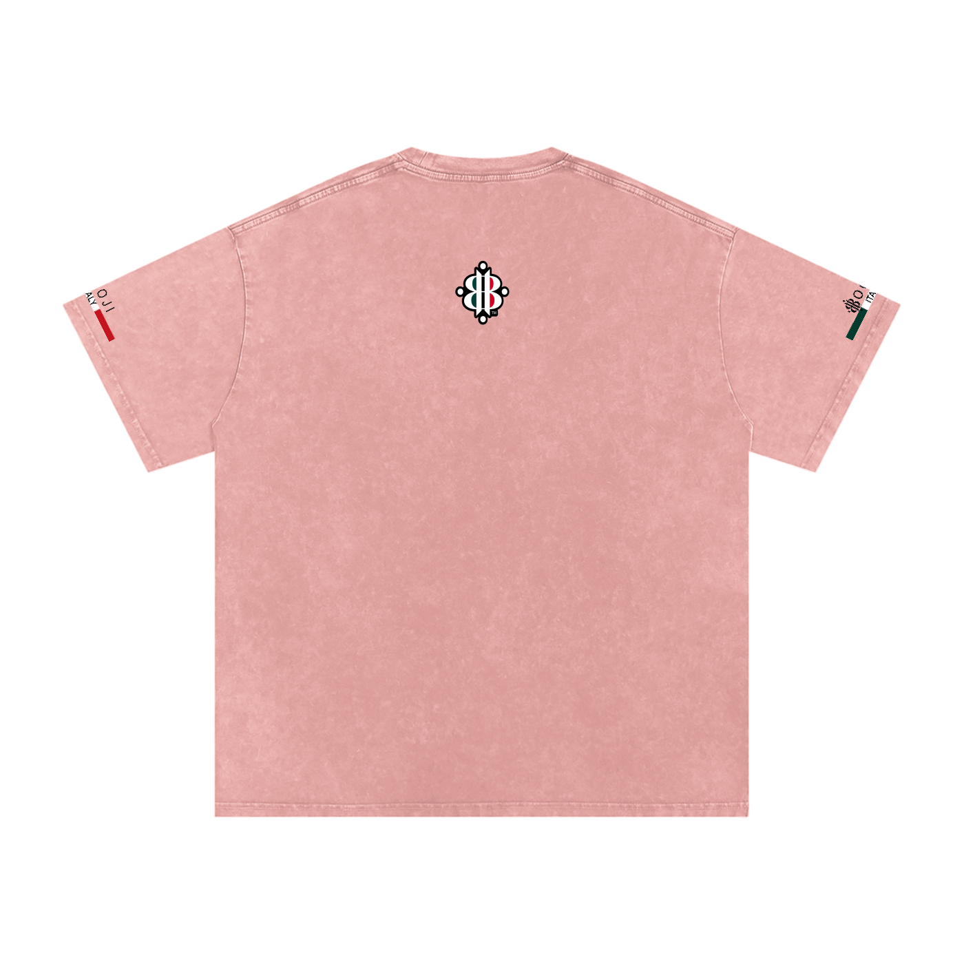 BOOJI ITALY ITALIAN FLAG 4 EVER $ LOGO SNOW WASHED T-SHIRT