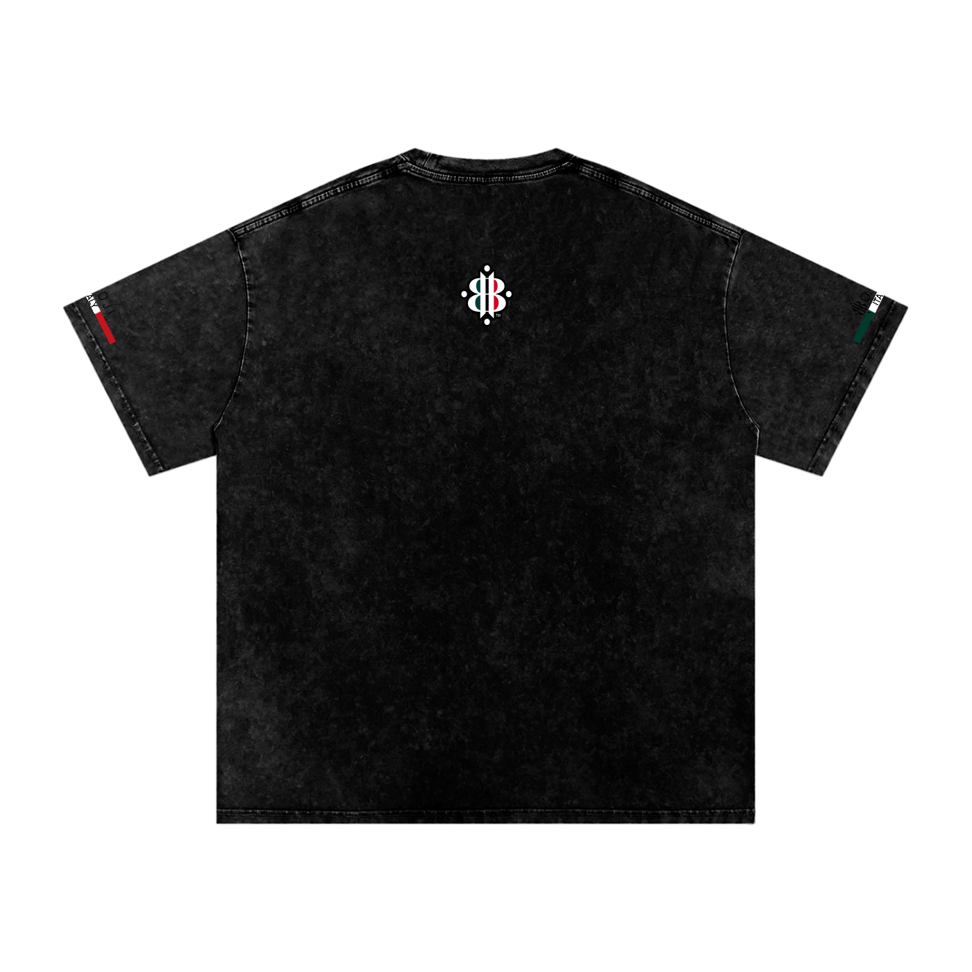 BOOJI ITALY ITALIAN FLAG 4 EVER $ LOGO SNOW WASHED T-SHIRT
