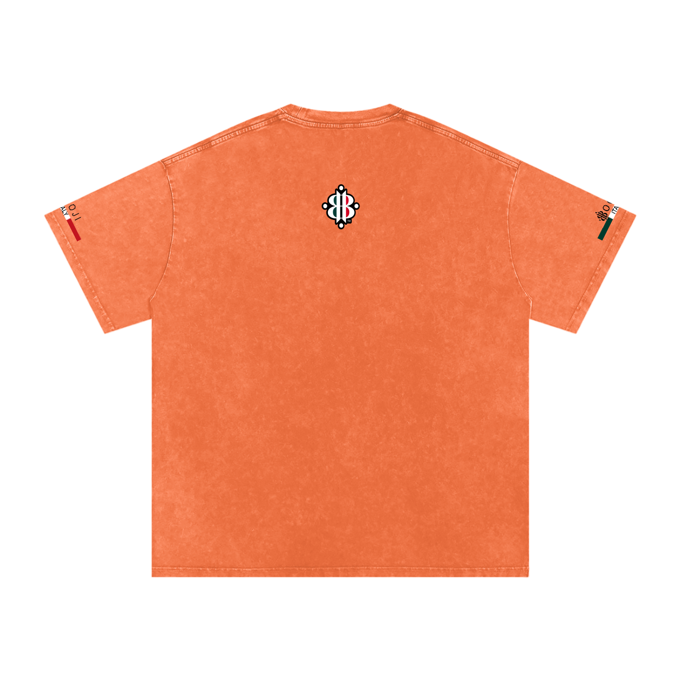 BOOJI ITALY ITALIAN FLAG 4 EVER $ LOGO SNOW WASHED T-SHIRT
