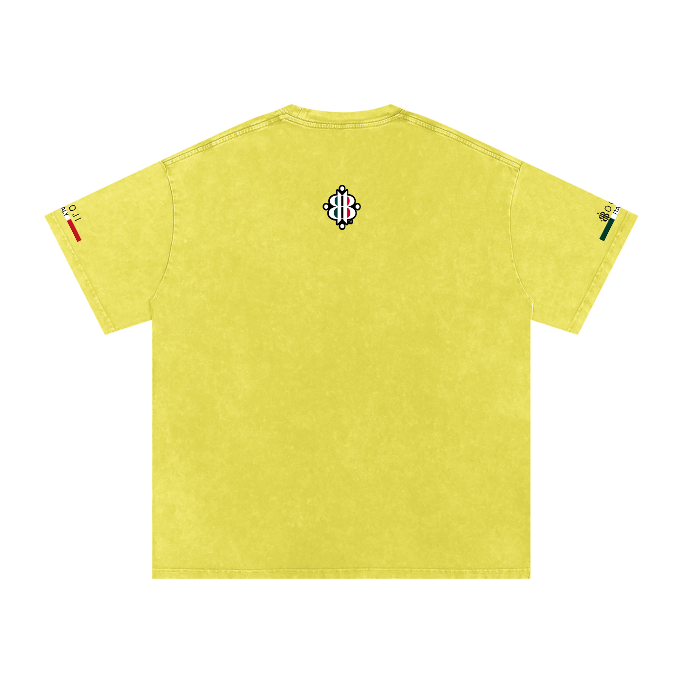 BOOJI ITALY ITALIAN FLAG 4 EVER $ LOGO SNOW WASHED T-SHIRT