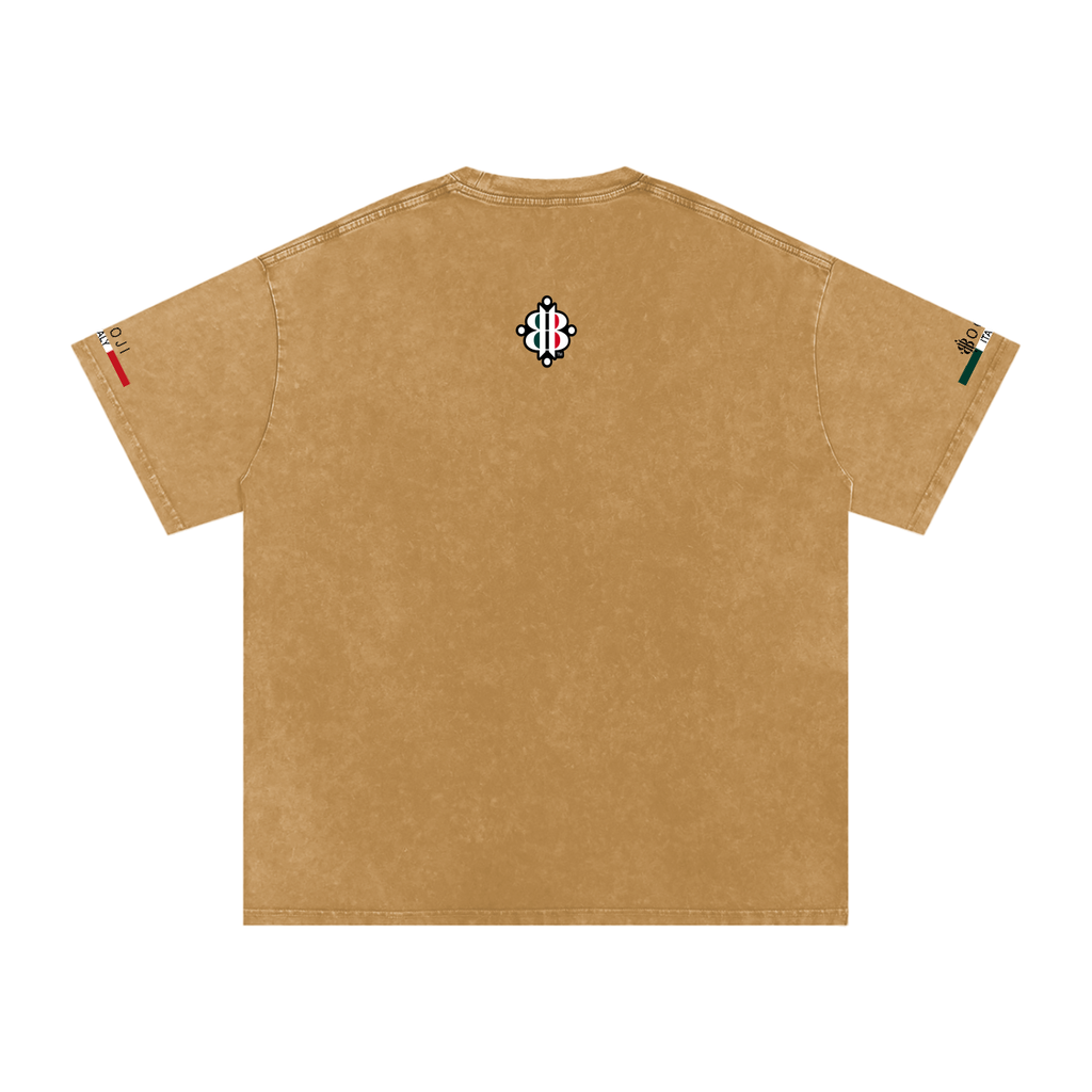 BOOJI ITALY ITALIAN FLAG 4 EVER $ LOGO SNOW WASHED T-SHIRT