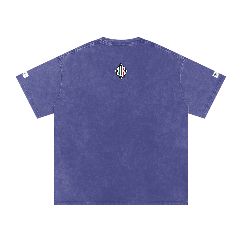 BOOJI ITALY ITALIAN FLAG BRAND LOGO SNOW WASHED T-SHIRT