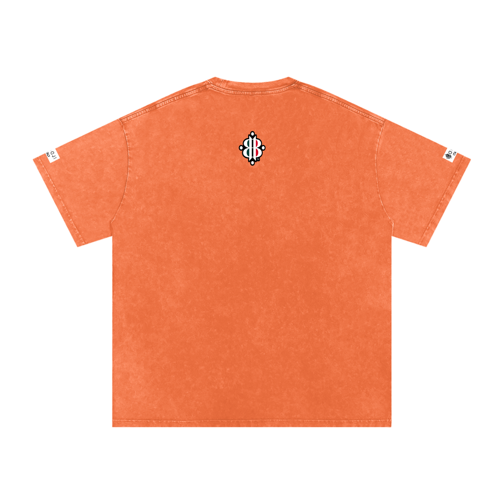 BOOJI ITALY ITALIAN FLAG BRAND LOGO SNOW WASHED T-SHIRT