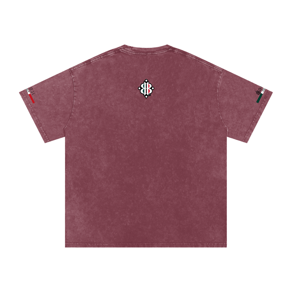 BOOJI ITALY ITALIAN FLAG 4 EVER $ LOGO SNOW WASHED T-SHIRT
