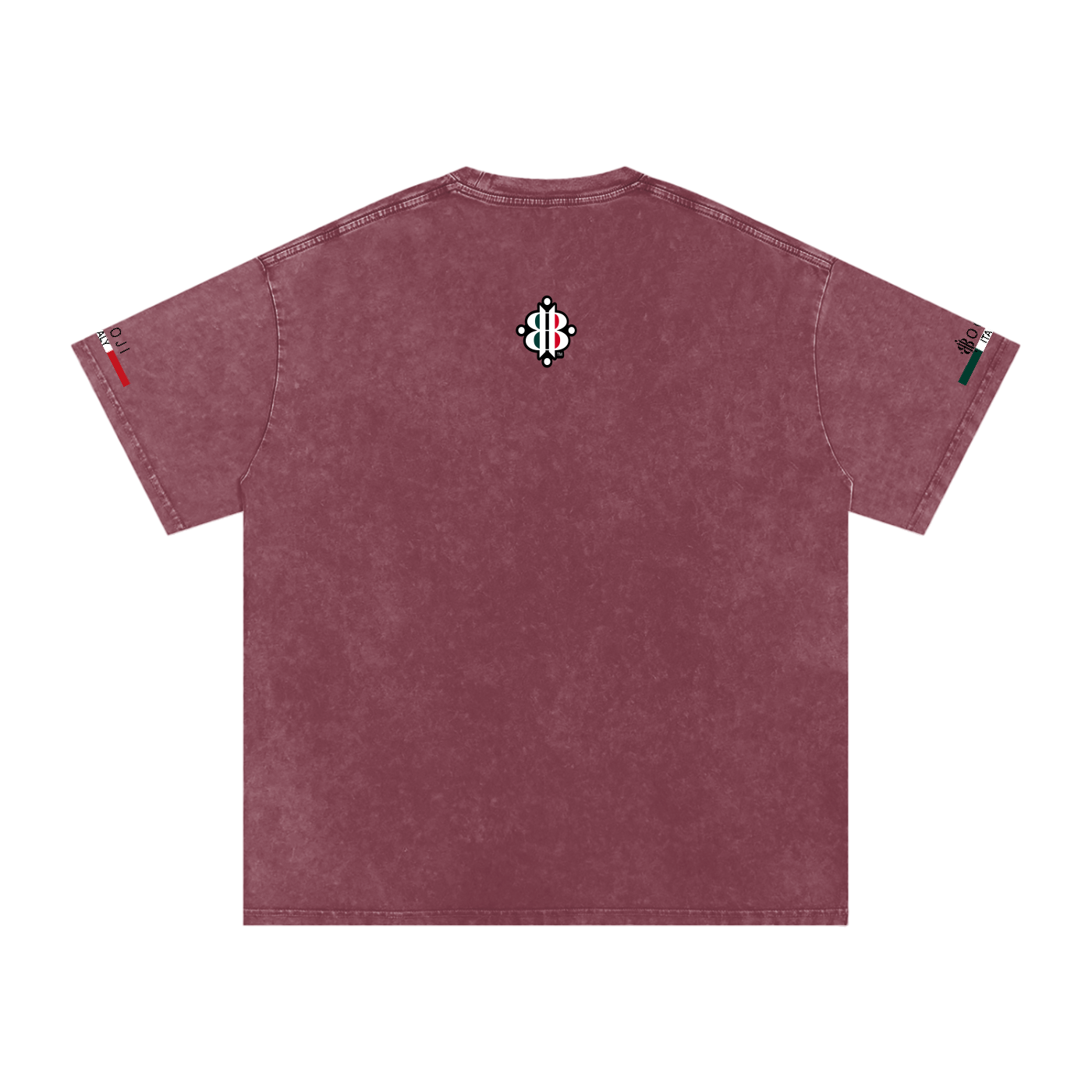 BOOJI ITALY ITALIAN FLAG 4 EVER $ LOGO SNOW WASHED T-SHIRT