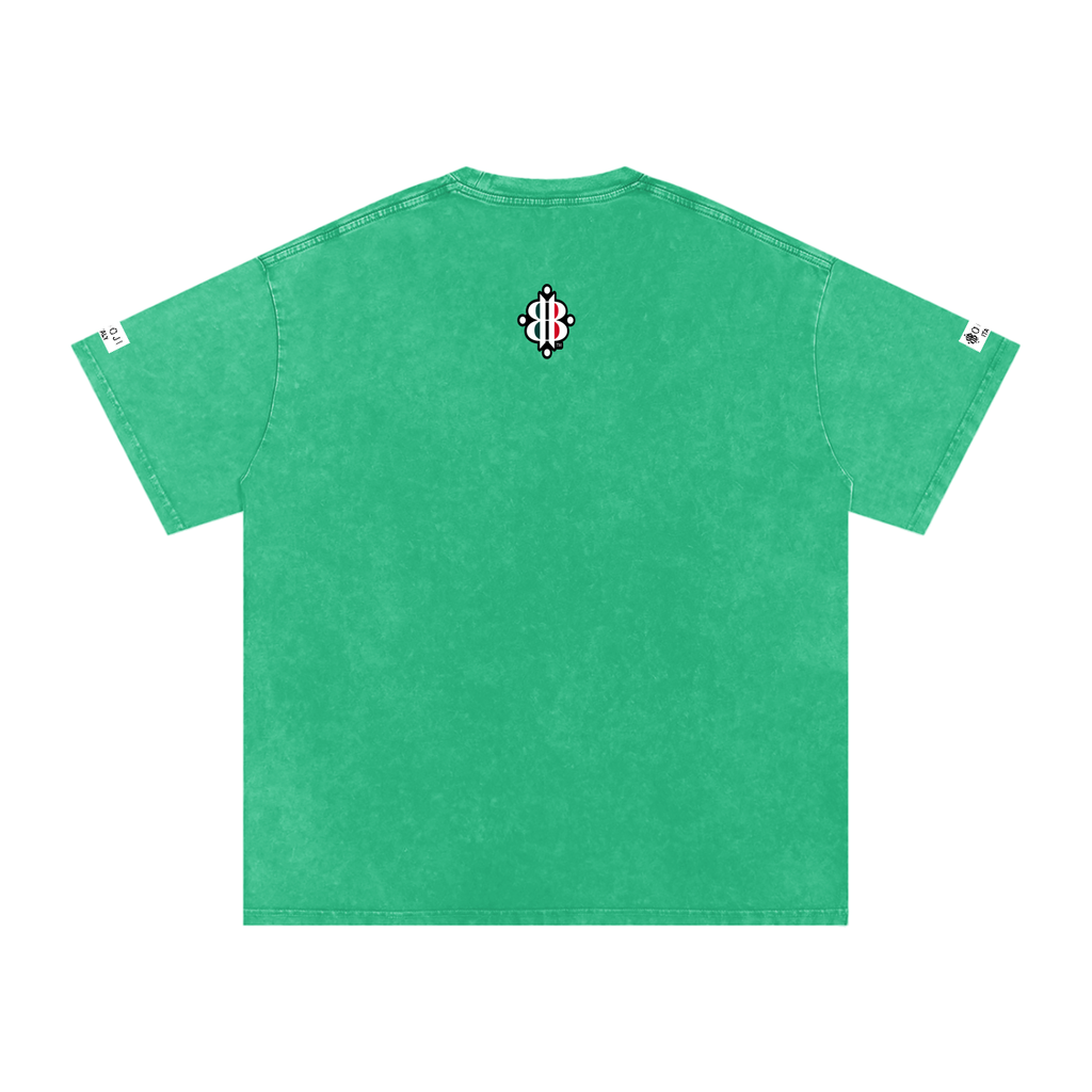 BOOJI ITALY ITALIAN FLAG BRAND LOGO SNOW WASHED T-SHIRT