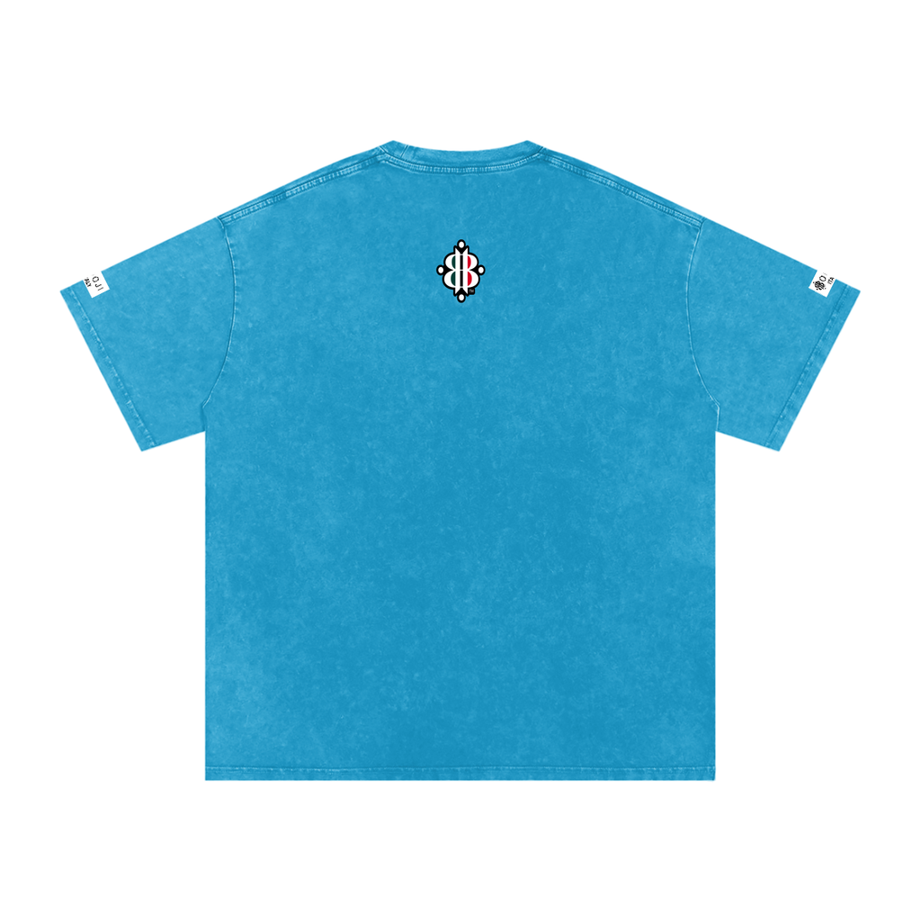 BOOJI ITALY ITALIAN FLAG BRAND LOGO SNOW WASHED T-SHIRT