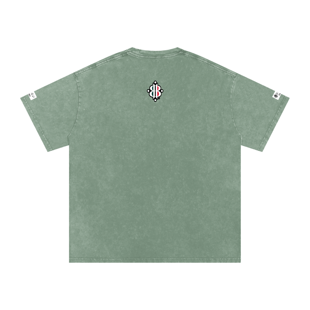BOOJI ITALY ITALIAN FLAG BRAND LOGO SNOW WASHED T-SHIRT