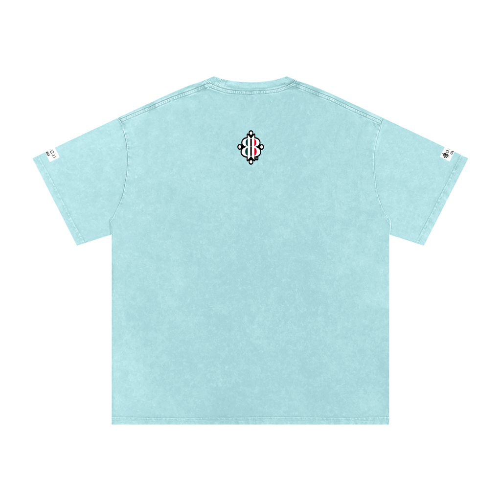 BOOJI ITALY ITALIAN FLAG BRAND LOGO SNOW WASHED T-SHIRT